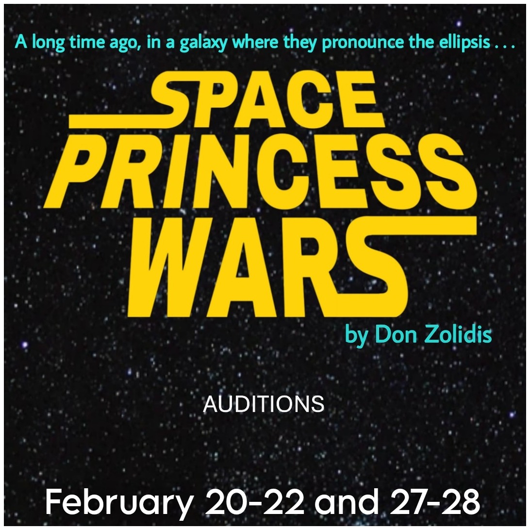Space Princess Wars, auditions